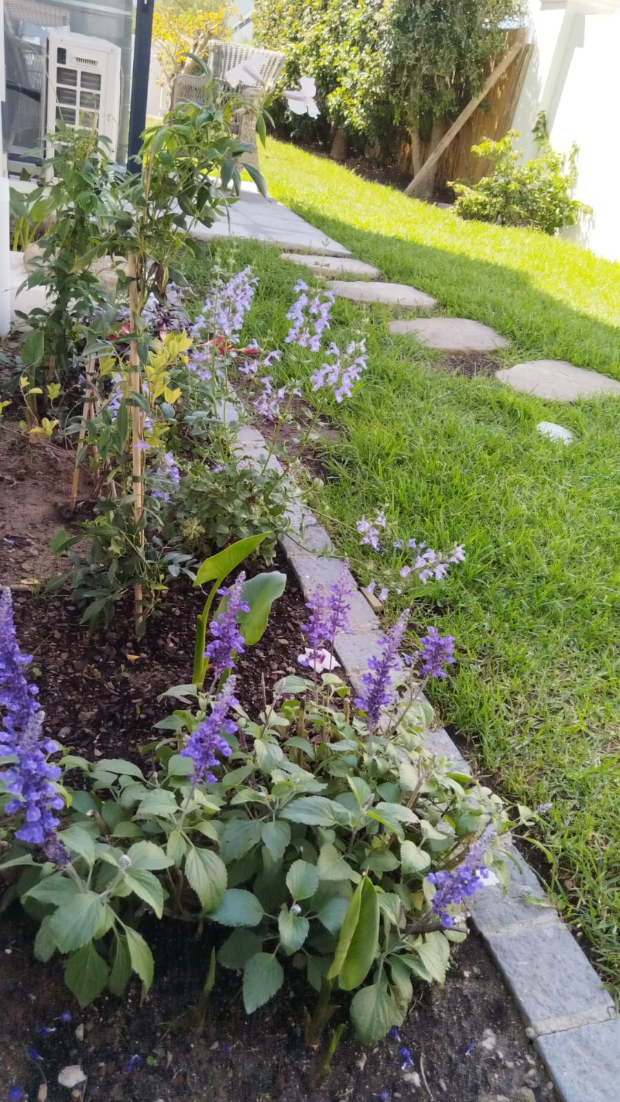 0 Bedroom Property for Sale in Croydon Olive Estate Western Cape